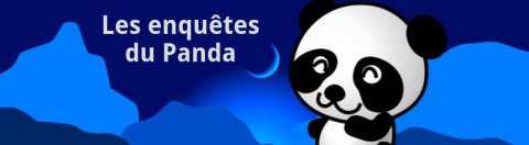 Les Enquêtes du Panda, épisode 6 : cycle 2-lecture